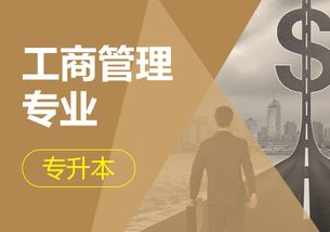 成人高考专业电子商务