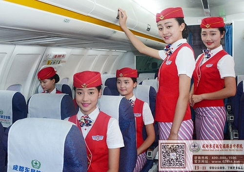 惊心一幕！曝乘客起冲突空姐劝架被咬伤，航空安全引关注